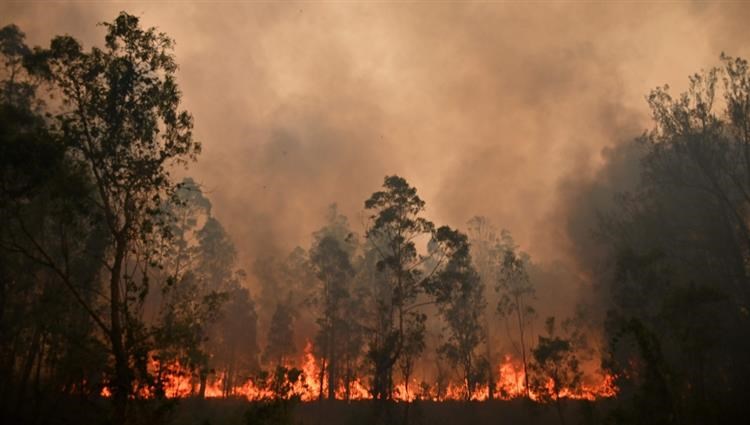 حرائق الغابات في أستراليا تتسبب بمقتل 3 أشخاص واحتراق 150 منزلا
